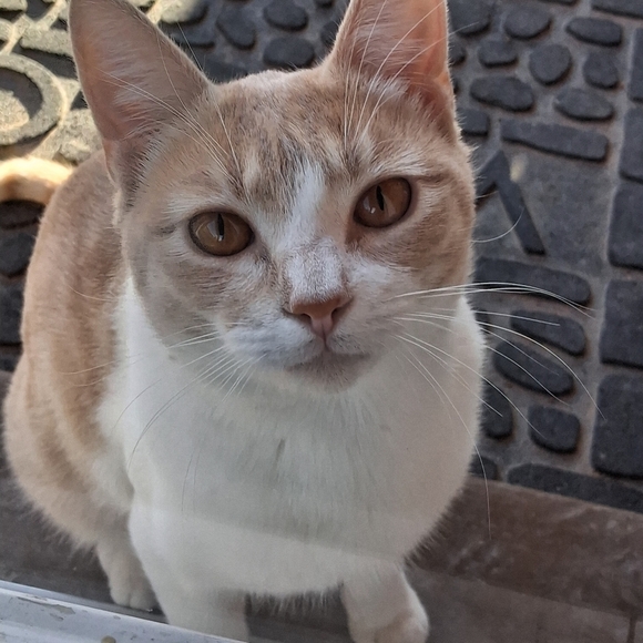 ππAutum πͺΎπ₯ - Picture 7 of 8